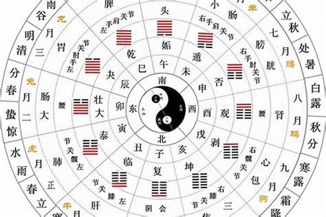 十天干十二地支|天干地支（中国古代天文历法）